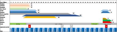 Recurrence, Reactivation, or Inflammatory Rebound of SARS-CoV-2 Infection With Acute Vestibular Symptoms: A Case Report and Revision of Literature